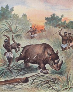 Nashornjagd in Afrika