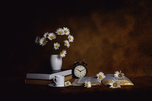 Gänseblümchen Bücher Morgenfrieden von Leah Xu