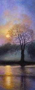 Bushy Park Dämmerung, 2016