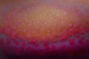 Ekstase in Rosa, 2025