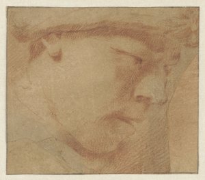 Kopf eines Jungen, nach rechts von Leendert van der Cooghen (manner of)
