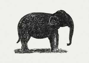 Elefant (ca. 1891–1941)