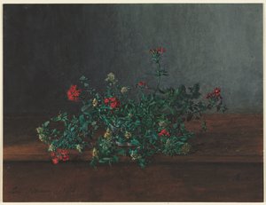 Stillleben mit Wildblumen von Léon Bonvin