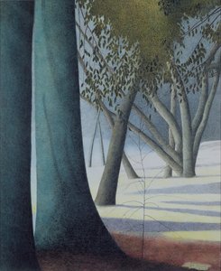 Buchenstämme von Leon Spilliaert