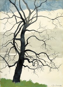 Einsamer Baum am Teichrand