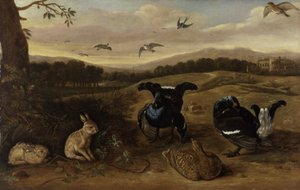 Schwarzwild, Kaninchen und Schwalben in einem Park, ca. 1700 von Leonard Knyff