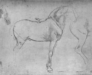 Ein Pferd im Profil nach rechts und seine Hinterteile von Leonardo da Vinci