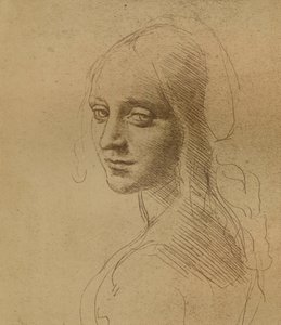 Ein weiblicher Kopf, ca. 1472-1519 von Leonardo da Vinci