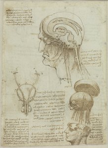 Ein Manuskriptblatt mit anatomischen Zeichnungen und Notizen, 1506-1508 von Leonardo da Vinci