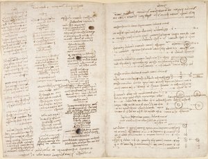 Kurze Texte von Leonardos Prophezeiungen (