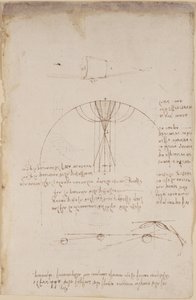 Arundel 263, f.85 Diagramme zur Optik, betreffend die Kaustiken der Reflexion; Notiz und Skizze zur Mechanik, betreffend die Kraft des Aufpralls und mit Verweisen auf das aristotelische Prinzip 