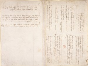 Leonardo da Vincis Notizen aus dem 