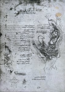 Koition von halbierten Mann und Frau, Faksimilekopie von Leonardo da Vinci