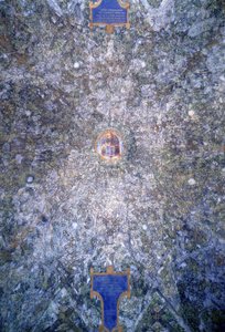 Detail der gewölbten Decke der Sala delle Asse
