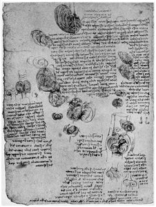 Diagramm des Blutwirbels im Herzen, spätes 15. oder frühes 16. Jahrhundert, 1954 von Leonardo da Vinci