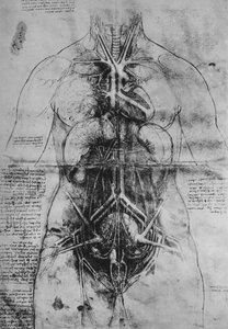 Sektion der Hauptorgane einer Frau, um 1480, 1945 von Leonardo da Vinci