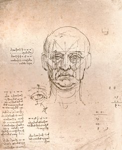Zeichnung zur Veranschaulichung der Theorie der Proportionen der menschlichen Figur, um 1472-um 1519, 1883