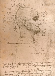 Zeichnung des Kopfes eines Kriminellen, um 1472-1519, 1883
