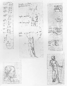 Fünf Zeichnungen zur Theorie der Proportionen der menschlichen Figur, ca. 1472-1519
