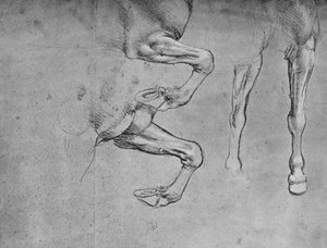 Vier Studien von Pferdebeinen, ca. 1480 von Leonardo da Vinci