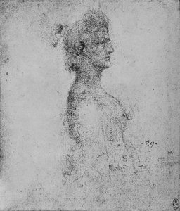 Halbporträt einer jungen Frau im Profil nach rechts, ca. 1480 von Leonardo da Vinci