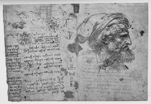 Kopf und Schultern eines bärtigen Mannes, ca. 1480 von Leonardo da Vinci