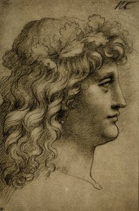 Kopf eines jungen Mannes von Leonardo da Vinci