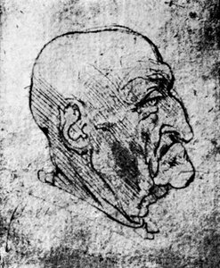 Kopf eines alten Mannes, 1913