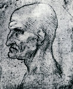Kopf eines alten Mannes, 1913 von Leonardo da Vinci