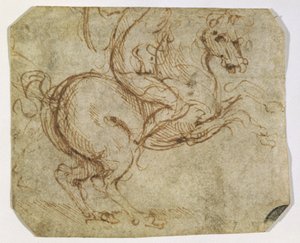 Pferd und Reiter
