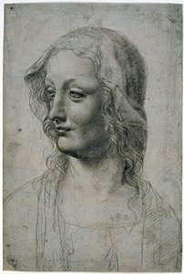 Maestro della Pala Sforzesca (Mailänder Schüler von Leonardo da Vinci), Frauenkopf mit Schleier, vielleicht eine Studie für die Jungfrau, GDSU 426 E
