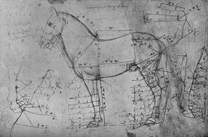 Vermessene Zeichnung eines Pferdes im Profil nach links, ca. 1480, 1945 von Leonardo da Vinci