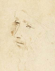 Porträt von Leonardo da Vinci, ca. 1518 von Leonardo da Vinci,