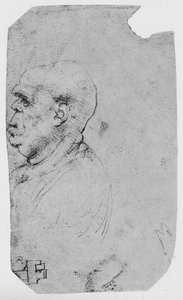 Profil eines glatzköpfigen Mannes nach links von Leonardo da Vinci