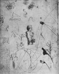 Profil eines alten Mannes, Pflanzen, geometrische Figuren usw., um 1480 1945 von Leonardo da Vinci