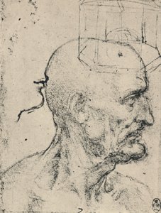 Profil eines glatzköpfigen Mannes nach rechts von Leonardo da Vinci
