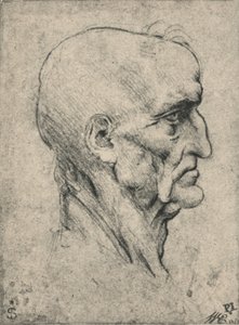 Profil eines älteren, kahlen Mannes nach rechts, um 1480 1945