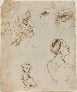 Blatt mit Studien [recto] von Leonardo da Vinci