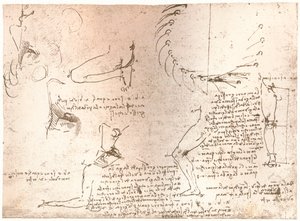 Skizzen zur Theorie der Proportionen der menschlichen Figur, ca. 1472-1519, 1883