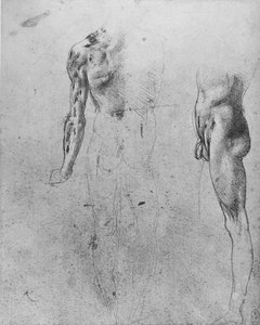 Studien eines nackten Mannes von hinten und von der Seite, um 1480 von Leonardo da Vinci