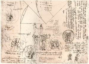 Studien von Emblemen von Leonardo da Vinci