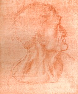 Studie für den Kopf von Judas in `Das letzte Abendmahl`, ca. 1494-ca. 1499