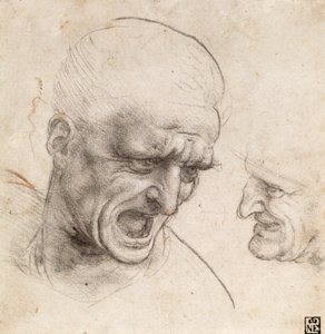 Studie von zwei Kriegerköpfen für die Schlacht von Anghiari von Leonardo da Vinci
