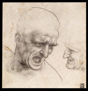 Studie von zwei Kriegerköpfen für die Schlacht von Anghiari von Leonardo da Vinci