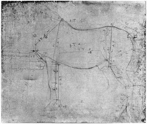 Studie eines Pferdes von Leonardo da Vinci