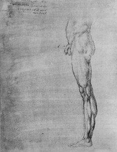Studie des Körpers und Beins eines Mannes, um 1480 von Leonardo da Vinci
