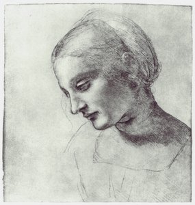 Der Kopf einer Madonna, ca. 1484-1486 von Leonardo da Vinci
