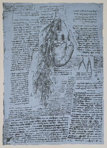 Das Herz und die Bronchialarterien, Faksimile des Windsor-Buchs von Leonardo da Vinci