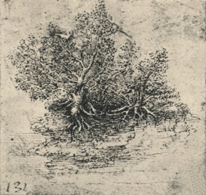 Zwei Bäume am Ufer eines Baches, ca. 1480 von Leonardo da Vinci