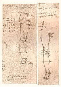 Zwei Zeichnungen zur Theorie der Proportionen der menschlichen Figur, 1883 von Leonardo da Vinci